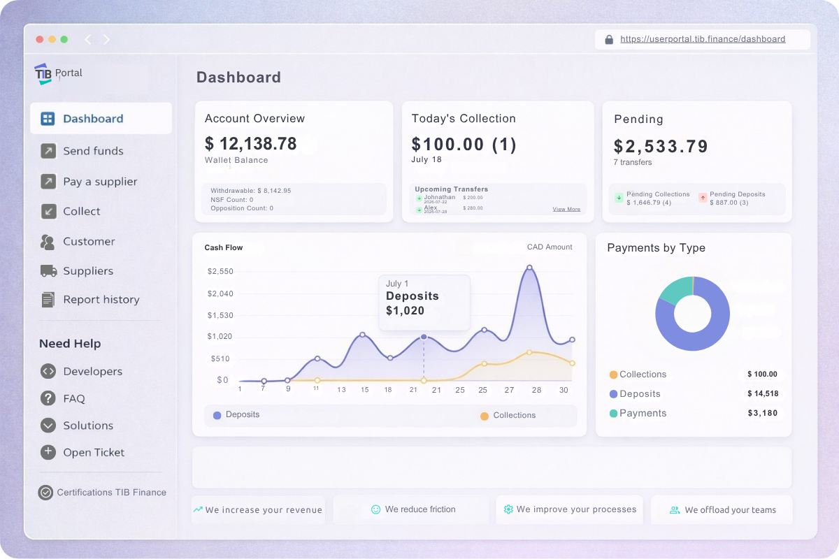 TIB Finance Dashboard — Account overview, cash flow chart and payment analytics